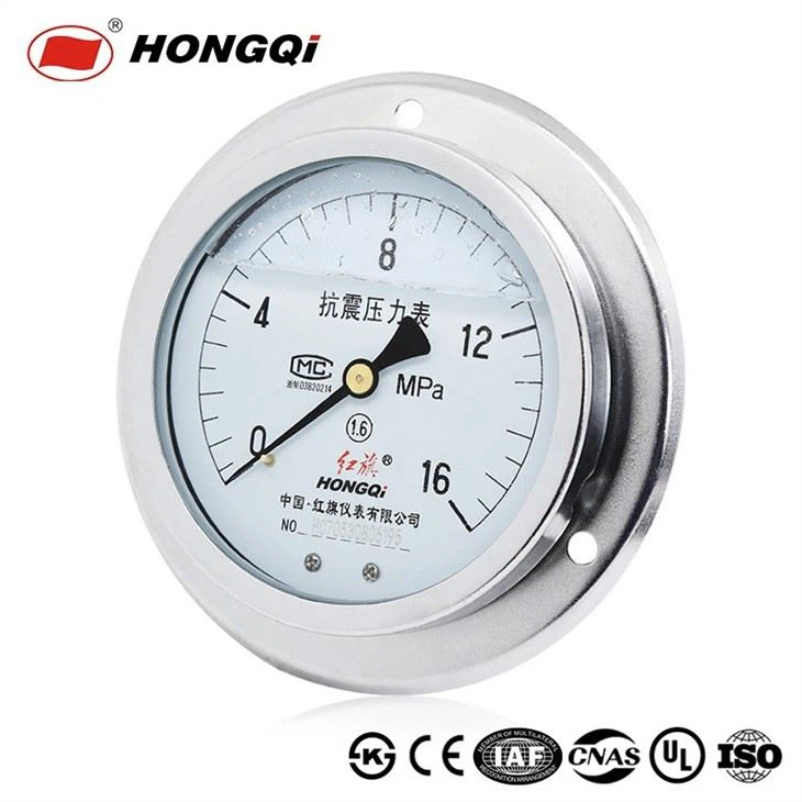 Back Mount With Flange Axial Pressure Gauge
